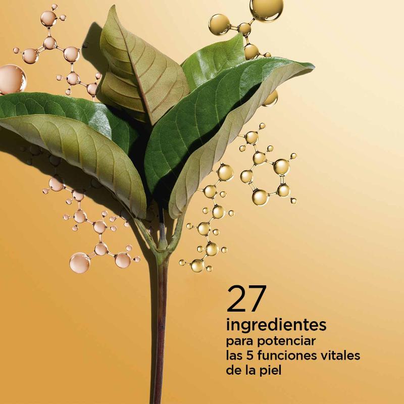 Miniatura 13