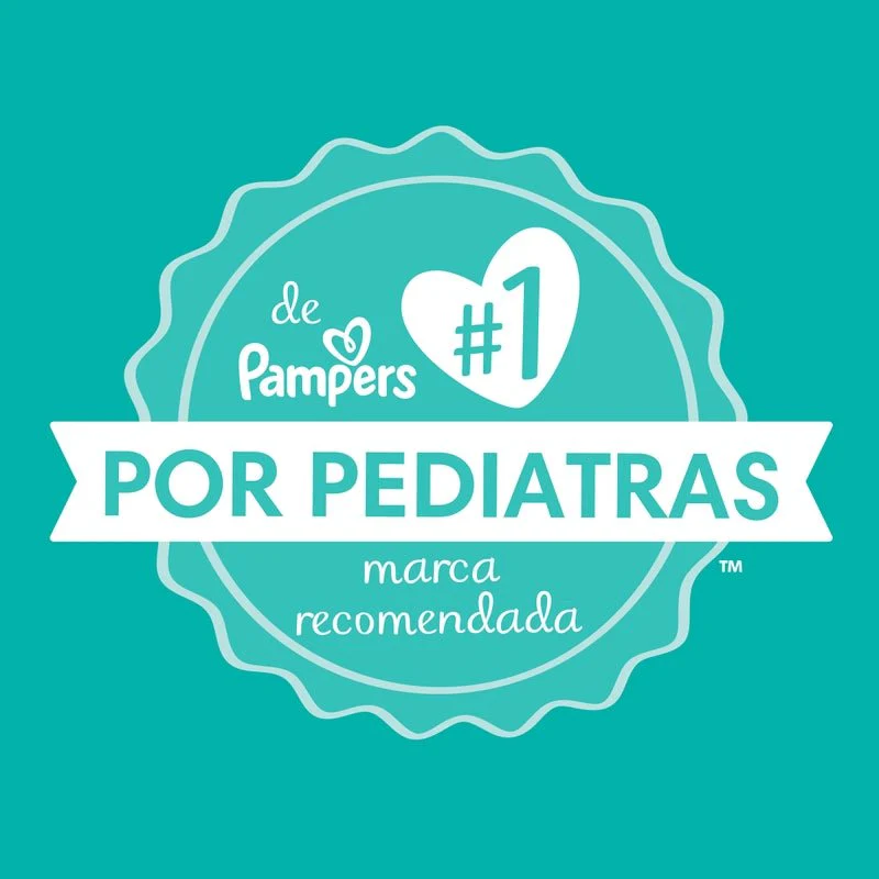 Miniatura 13